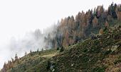 38 Nebbia di stagione
